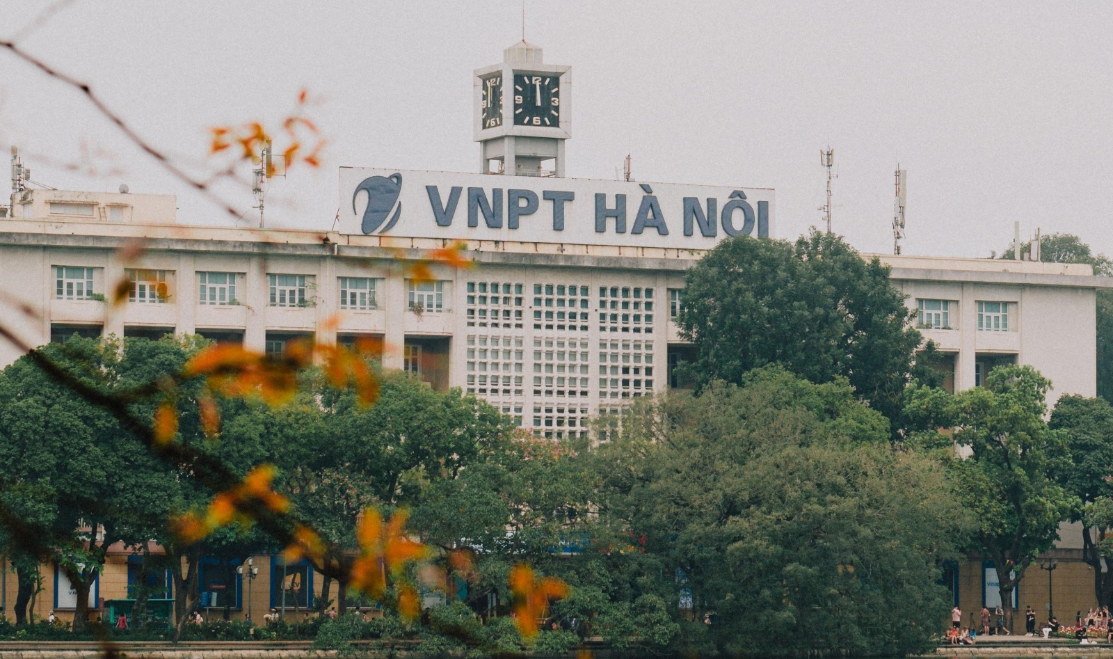 河内1(1).jpg